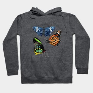 Butterflies Hoodie